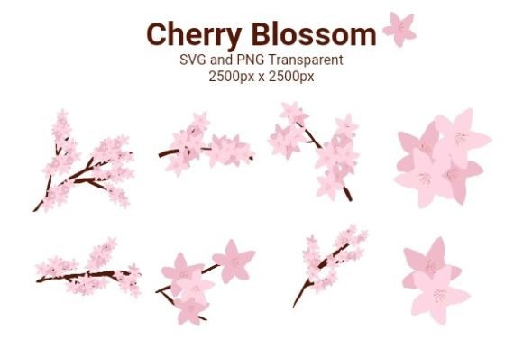 Cherry Blossom Flowers Graphics and Illustrations