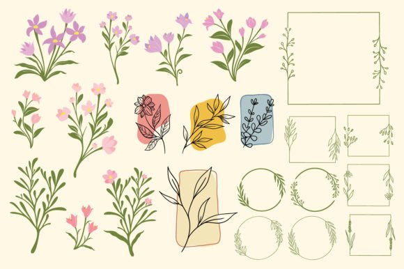 Flowers and Frames Vector Set