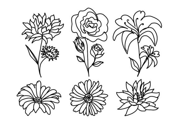 Flowers Set Hand Drawn: Graphics and Illustrations for Digital Sellers