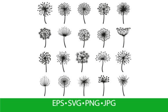 Fluffy Dandelion, Blowball Flowers Graphics