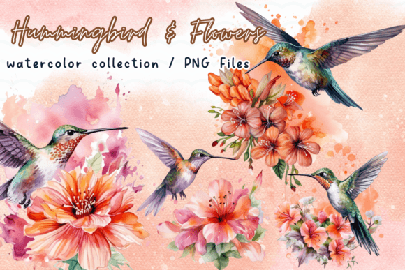 Humming Bird Flowers Watercolor Clipart: Graphics for Creative Publishing