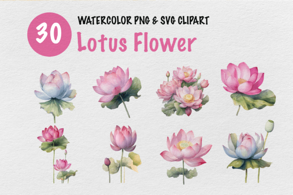 Lotus Flowers Watercolor Clipart: Graphics for Creative Design