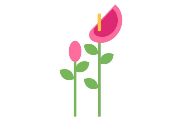 Pink Flowers and Buds Growing. Color Dec Graphics