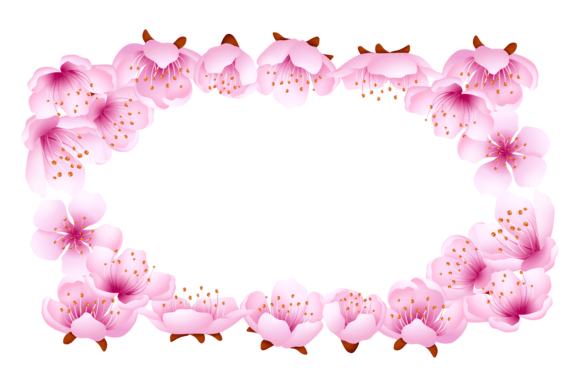 Pink Flowers Border. Empty Japanese Saku Graphics