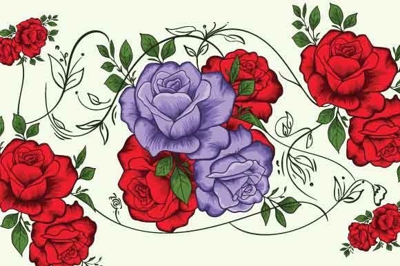Rose Flowers Illustration Vector Art