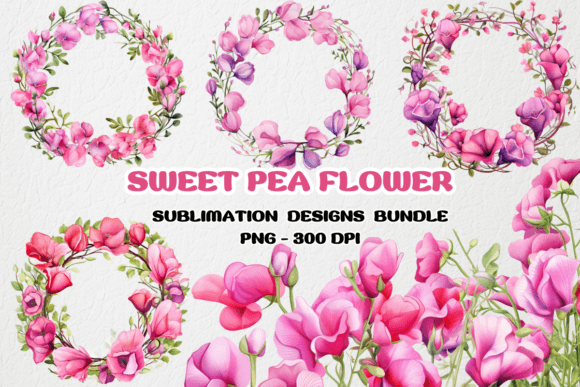 Sweet Pea Flowers Bundle Clipart
