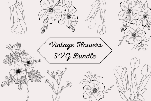 Vintage Flowers SVG Clipart Bundle: Graphics & Freebies