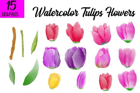 Watercolor Flowers Graphic Bundle