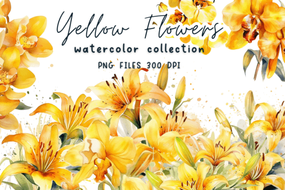 Yellow Flowers Watercolor Graphics